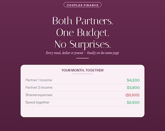 Budgetplaner für Paare (Excel, Google Sheets) | Gemeinsame Finanzübersicht (Beliebige Währung)