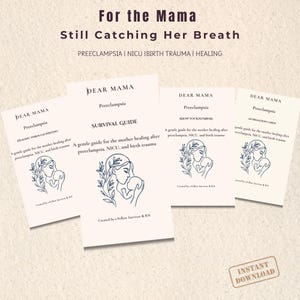 May include: A collection of printed guides titled "Dear Mama" with the topics of Preeclampsia, Survival Guide, Know Your Numbers, and Affirmation Cards. Each guide features a blue illustration of a mother and child. The text "For the Mama" is at the top.