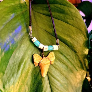 May include: A shark tooth pendant necklace with a black cord. The necklace features a shark tooth pendant wrapped in copper wire, with turquoise and white beads. The necklace is displayed on a large green leaf.