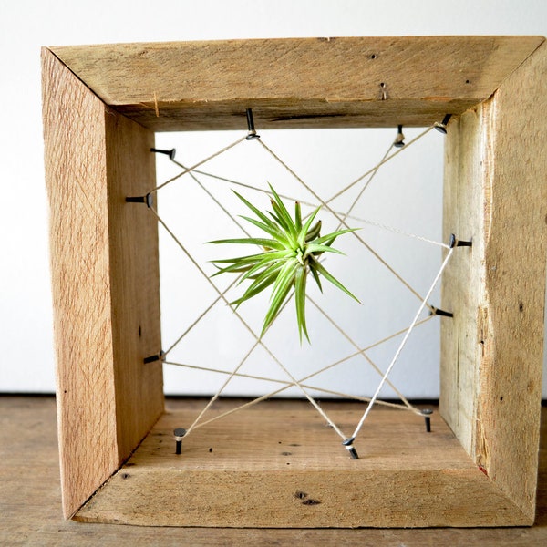 Rustic Reclaimed Recycled salvaged wood AIR PLANT holders. Vase, wall decor, geometric design, terrarium wedding Christmas gift