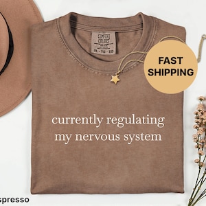 May include: Espresso-colored t-shirt with the text "currently regulating my nervous system" in white. A gold star pendant necklace and a brown hat are also visible. The shirt is a Comfort Colors XL.