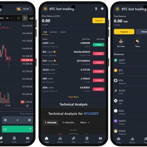Script voor HYIP-handel op Binance (PHP) / Complete website voor persoonlijk gebruik. Maak je eigen investeringswebsite.