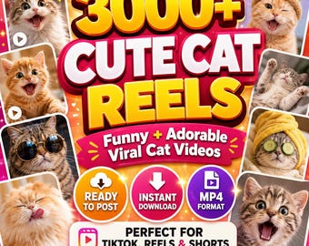 3000以上の可愛い猫リール動画集 | Instagram、TikTok、YouTubeショート動画向けの面白い子猫動画 | PLR MRR バイラル猫動画 | 即時ダウンロード