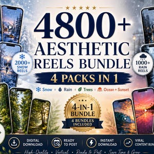 4800+ Aesthetic Reels Bundle | 4 Packs in 1: Snow, Rain, Trees, Ocean & Sunset | Vertical Videos for Social Media