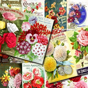 Vintage Seed Catalog Ephemera Printable Paper Pack - Set #81 - 30 Pg Instant Download - digital journal kits, roses clipart floral