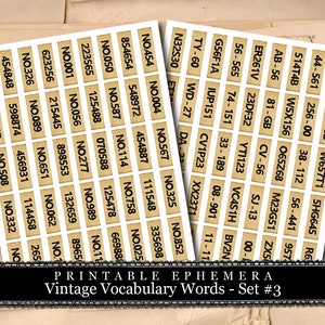 Vintage Vocabulary Cards Set #3 - 2 Page Instant Download - ephemera pack, altered art kit, junk journal kit, blank journal cards