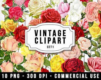Vintage Clipart PNG, Commercial Use, Floral PNG, Rose Bouquet, Shabby Chic, Digital Download, Vintage Flower PNG, Vintage Rose Clipart