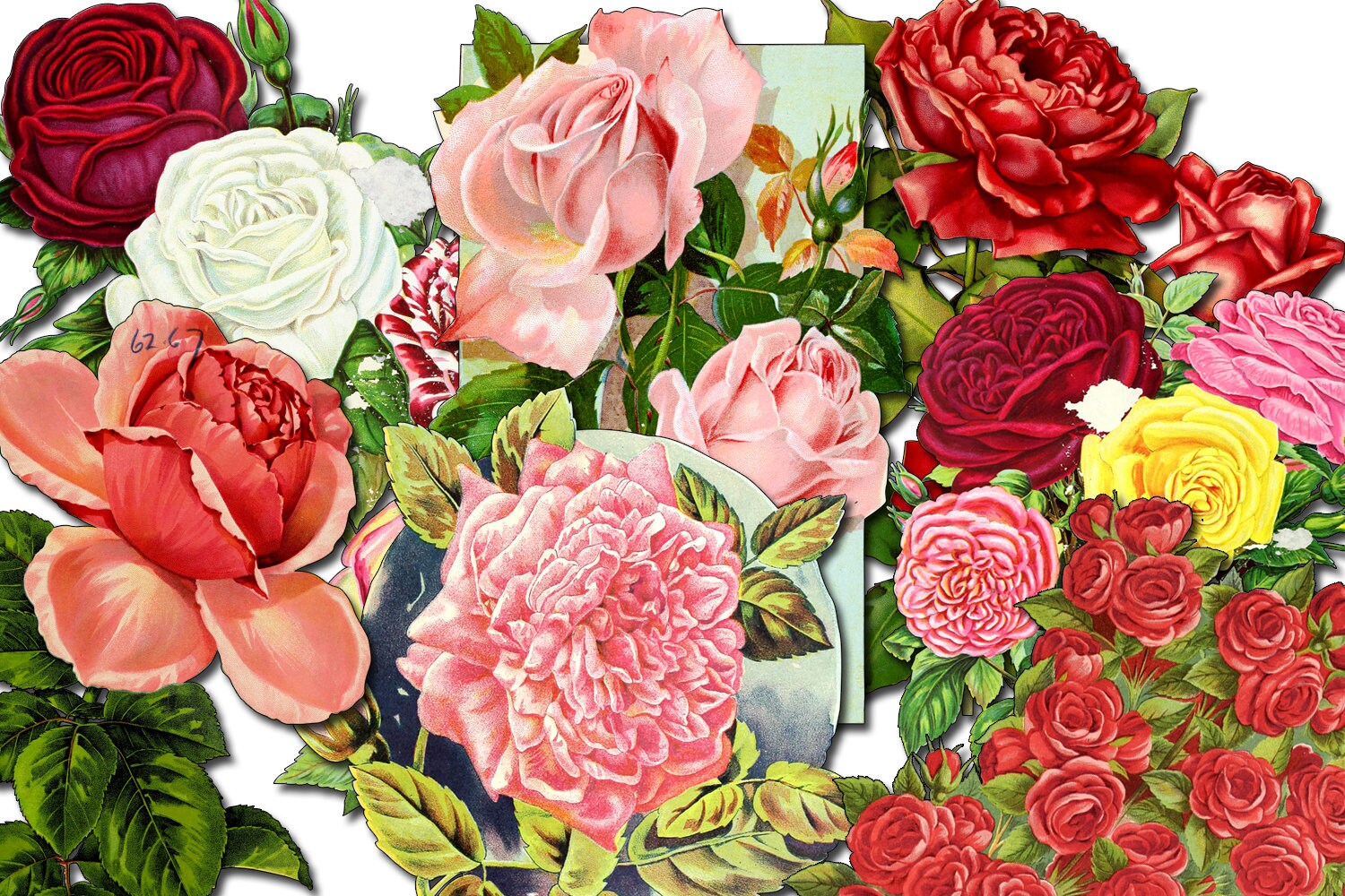 Decoupage Flowers Set 24 7 Page Instant Download Pink Rose Clipart Bouquet Clipart Roses Flower Clipart Decoupage Flowers Set 24 7 Page Instant Download Pink Rose Clipart Bouquet Clipart Roses Flower Clipart