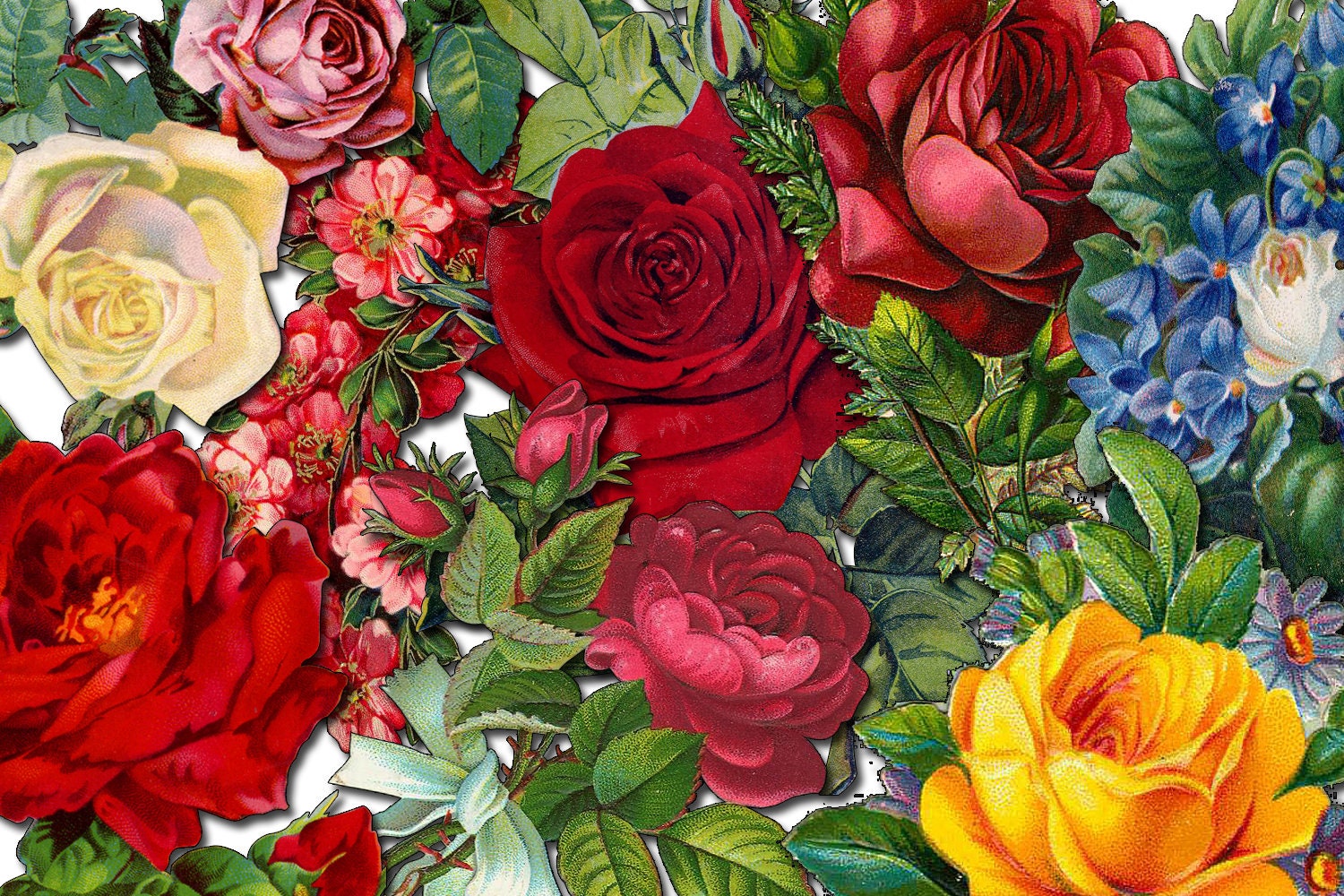 Decoupage Flowers Set 18 8 Page Instant Download Pink Rose Clipart Bouquet Clipart Roses Flower Clipart Decoupage Flowers Set 18 8 Page Instant Download Pink Rose Clipart Bouquet Clipart Roses Flower Clipart