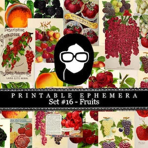 Ephemera Paper Pack - Printable Ephemera Set #16 - Fruit Art - 30 Pg Instant Download - blank journal cards, digital journal kits, fruit