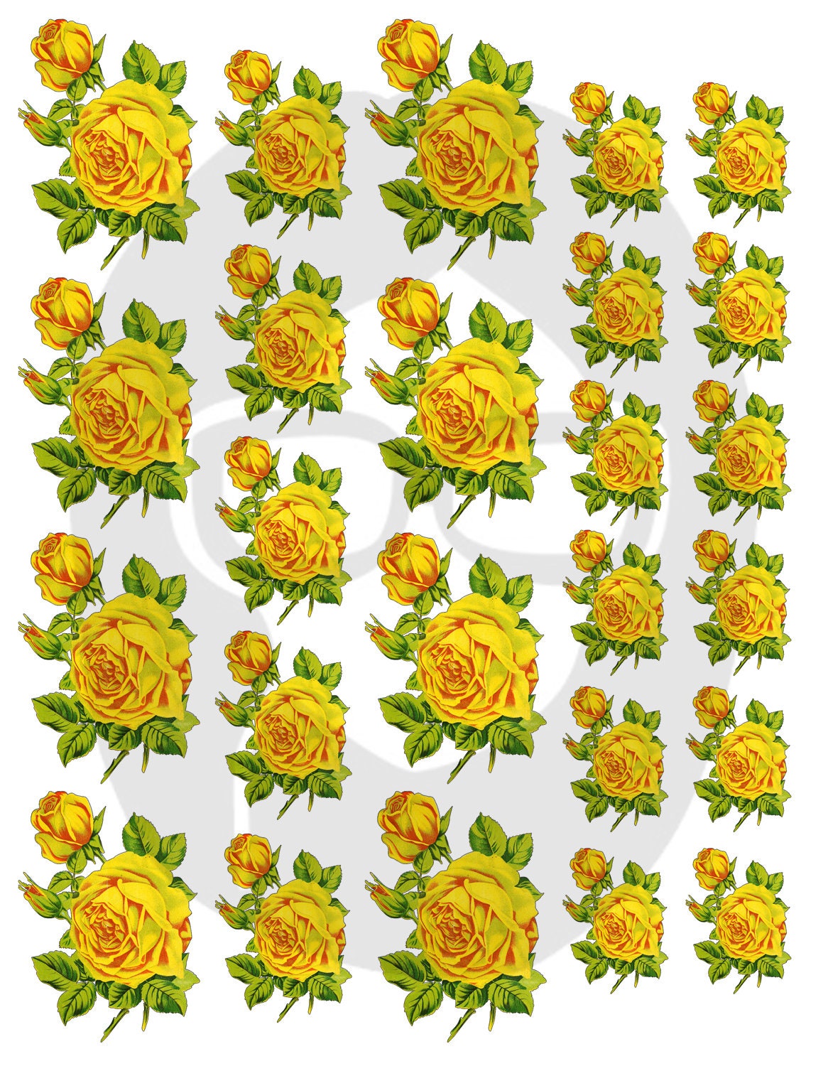 Download Floral Clipart - Decoupage Flowers Set #21 - 8 Page ...