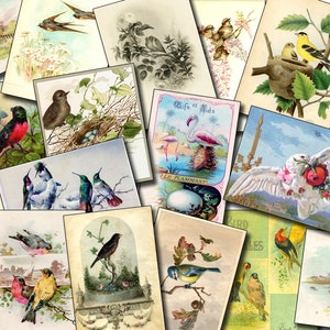 Vintage Bird Printable Ephemera Pack -  Set # 51 - 30 Pg Instant Download, journaling kit, journal cards, junk journal kit, bird images