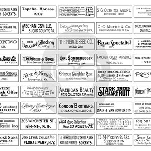 May include: A collection of vintage advertisements for rose bushes, seeds, and nursery plants. The ads feature black and white text and illustrations, with names like "The Pierce Seed Co." and "C. Young & Sons Co.".
