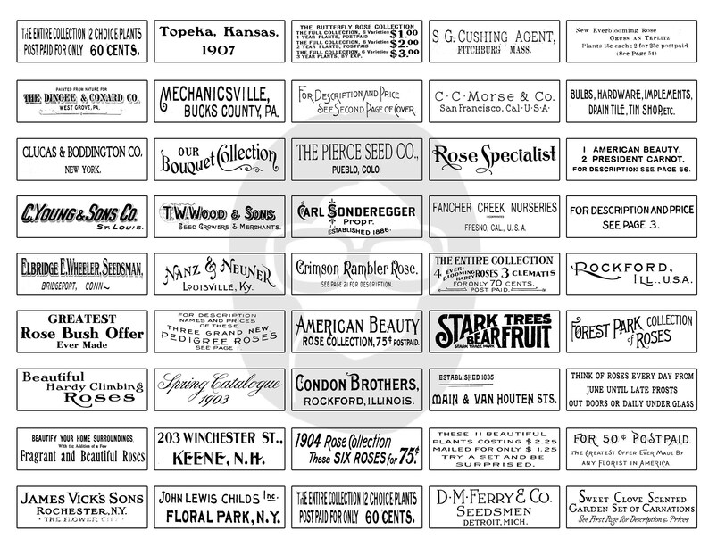 May include: A collection of vintage advertisements for rose bushes, seeds, and nursery plants. The ads feature black and white text and illustrations, with names like "The Pierce Seed Co." and "C. Young & Sons Co.".