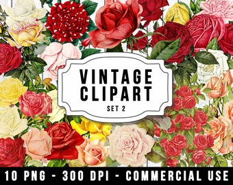 Vintage Clipart PNG, Commercial Use, Floral PNG, Rose Bouquet, Shabby Chic, Digital Download, Vintage Flower PNG, Vintage Rose Clipart