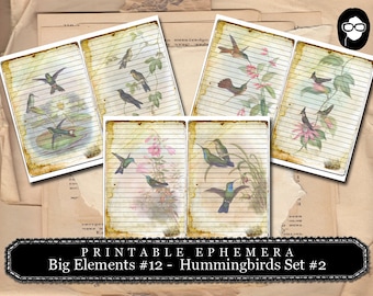 Journaling Cards - Big Elements #12 Hummingbirds #2 - 3 Page Instant Download - digital journal card, ephemera pack, gift tags template