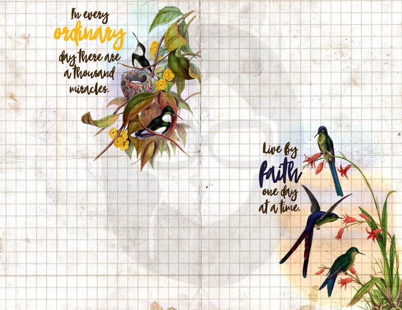 Pu&ograve; includere: Un'illustrazione in stile vintage di colibr&igrave; con una citazione sul trovare miracoli nella vita di tutti i giorni. La citazione recita "In ogni giorno ordinario ci sono mille miracoli." La seconda citazione recita "Vivi con fede un giorno alla volta."