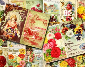 Vintage Seed Catalog Ephemera Printable Paper Pack - Set #72 - 30 Pg Instant Download - digital journal kits, roses clipart floral