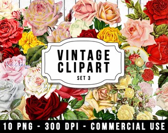 Vintage Flower PNG, Vintage Clipart PNG, Commercial Use, Floral PNG, Rose Bouquet, Shabby Chic, Digital Download, Vintage Rose Clipart