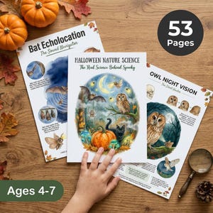 Halloween Naturvetenskapliga arbetsblad för barn, Nattdjursaktiviteter, Fladdermusuggla Spindel Pumpa, Utskrivbart Hemundervisningspaket Åldrar 4-7 bild 1