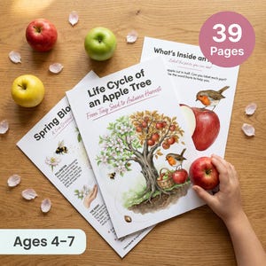 May include: Educational materials for ages 4-7, featuring the life cycle of an apple tree. The image includes illustrations of an apple tree, apples, and a bird. The text reads "Life Cycle of an Apple Tree" and "39 Pages".