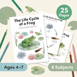 Frog Life Cycle Worksheets | Tadpole to Frog | Ages 4-7 | Pond Animals Science | Amphibian Activities | Flashcards | Printable PDF