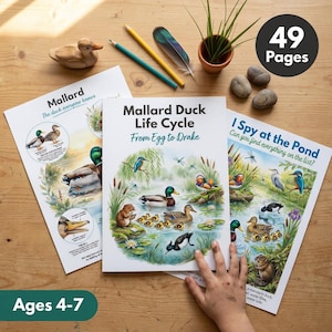 Peut inclure: Trois feuilles d'activités éducatives illustrant des canards colverts et la vie en étang. La feuille centrale est intitulée Mallard Duck Life Cycle From Egg to Drake. La feuille de gauche est intitulée Mallard The duck everyone knows. La feuille de droite est intitulée I Spy at the Pond. L'ensemble comprend 49 pages pour les 4-7 ans.