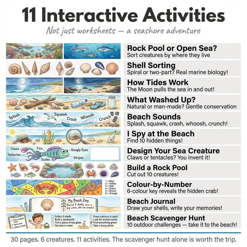 Beach Worksheets for Kids | Beach Explorer | Ages 4-7 | Rock Pools ...