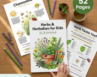 Örtövningsblad | Barnörtkunskap 4-7 år | Kamomill Lavendel Mynta Rosmarin | Terecept Sensorik | Utskrivbar PDF
