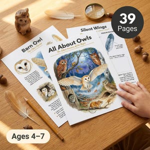 以下が含まれることがあります： 「All About Owls」と「Barn Owl」というタイトルのフクロウをテーマにした教育的な本。 39ページで、4〜7歳向けです。 木製のフクロウの置物、鉛筆、羽、虫眼鏡も写っています。