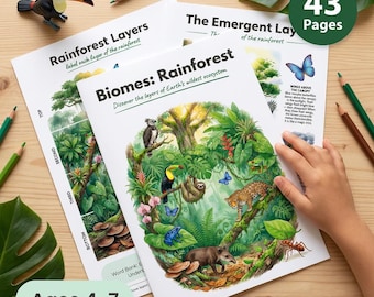 Rainforest Biome Worksheets | Kids Science | Ages 4-7 | Layers Food Web Adaptations | Toucan Jaguar Sloth | I Spy Maze | Printable PDF
