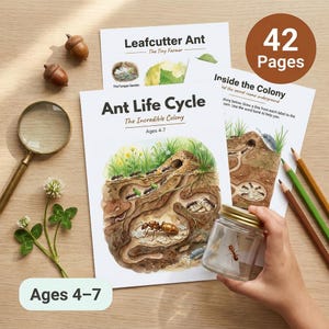 May include: Educational materials for children aged 4-7, featuring illustrations of ants and their life cycle. The image includes a magnifying glass, pencils, and a jar with an ant inside. The text on the materials reads "Leafcutter Ant," "Ant Life Cycle," and "Inside the Colony." The set has 42 pages.