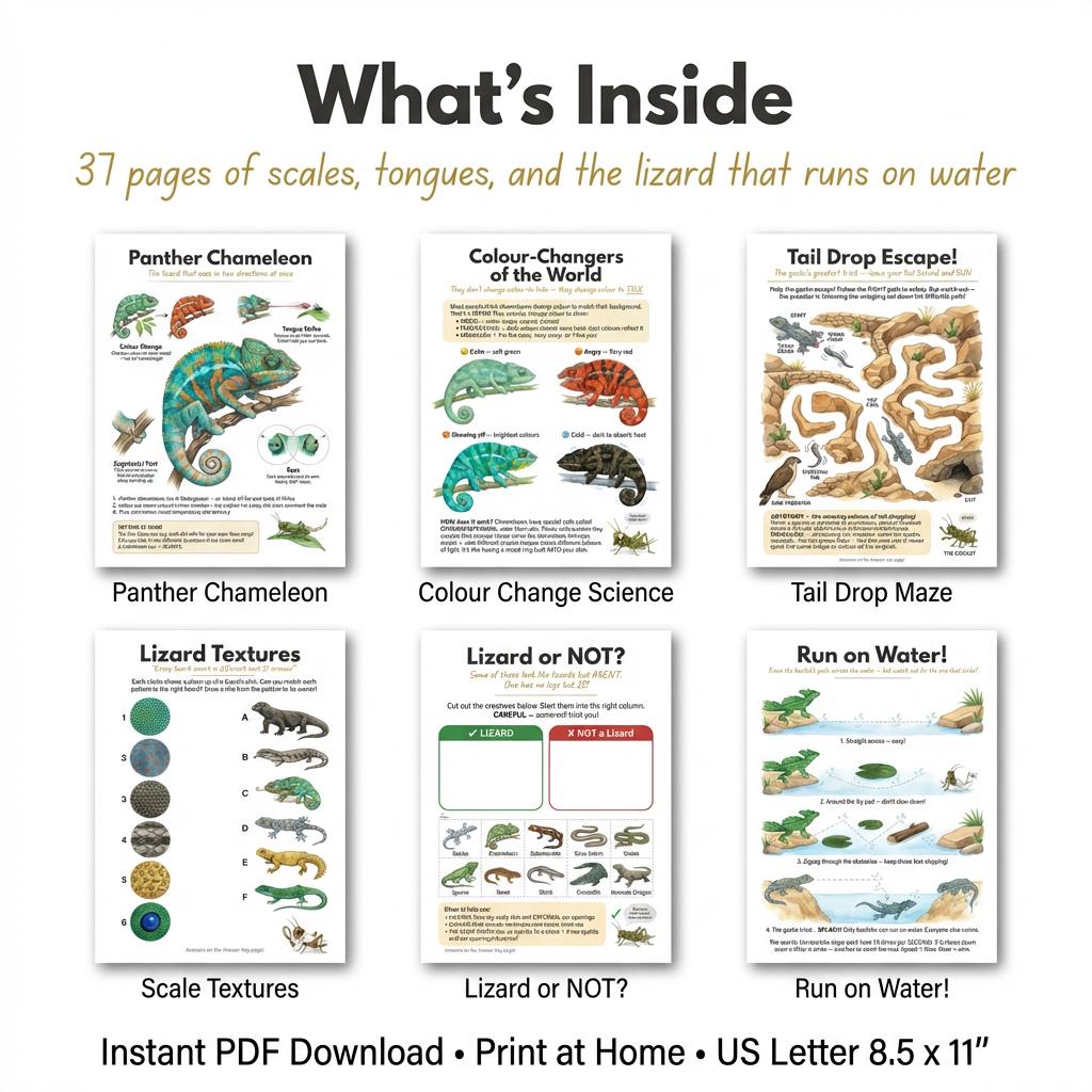 Lizard Worksheets for Kids | All About Lizards | Ages 4-7 | Chameleon ...