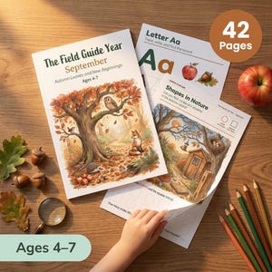 May include: A 42-page educational workbook titled The Field Guide Year September for ages 4-7, featuring watercolor illustrations of an owl, fox, and hedgehog in an autumn forest, alongside activity sheets for letter tracing and identifying shapes.