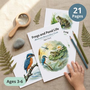 May include: A set of Frogs and Pond Life Montessori nomenclature cards featuring watercolor illustrations of frogs, a kingfisher, and a dragonfly. The set includes 21 pages, a wooden magnifying glass, a gray stone, and two colored pencils.