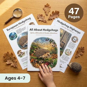 Könnte beinhalten: Ein Kinderbuch mit dem Titel "All About Hedgehogs" mit Illustrationen von Igeln, umgeben von bedruckten Seiten, einer Lupe und dekorativen Blättern. Das Buch ist für Kinder im Alter von 4-7 Jahren und hat 47 Seiten.