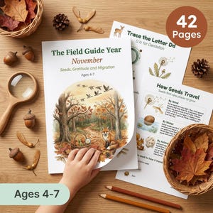 Currículo de Educação Domiciliar - Novembro | Estudo da Natureza (4-7 anos) | Sementes, Gratidão, Migração | Traçado de Letras, Contagem, Ciências | PDF para Imprimir