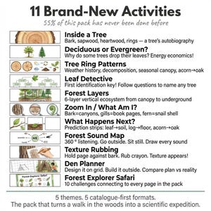 Forest Science Worksheets | Woodland Wildlife | Ages 4-7 | Trees Mushrooms Animals | Forest Floor | Printable PDF image 7