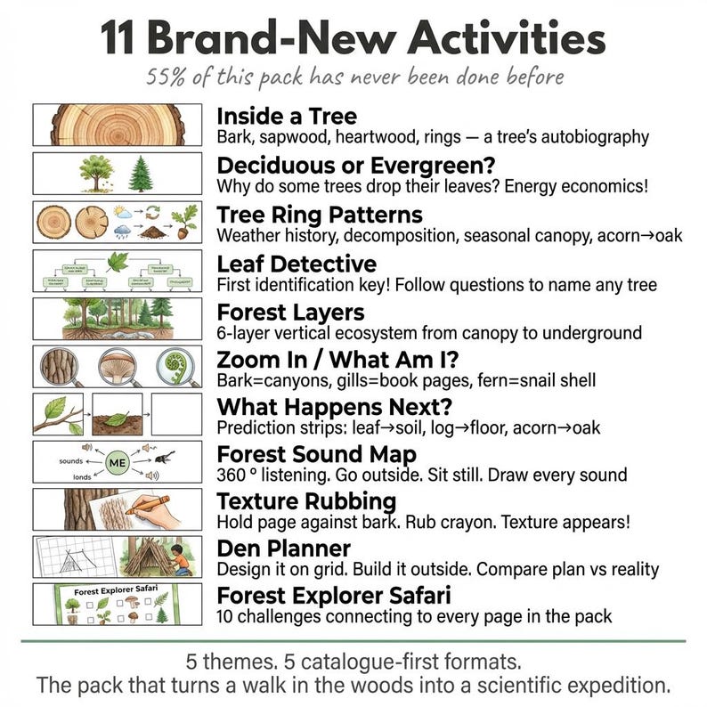 Forest Science Worksheets | Woodland Wildlife | Ages 4-7 | Trees Mushrooms Animals | Forest Floor | Printable PDF image 7