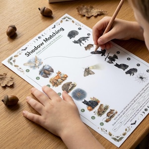 Halloween Naturvetenskapliga arbetsblad för barn, Nattdjursaktiviteter, Fladdermusuggla Spindel Pumpa, Utskrivbart Hemundervisningspaket Åldrar 4-7 bild 6