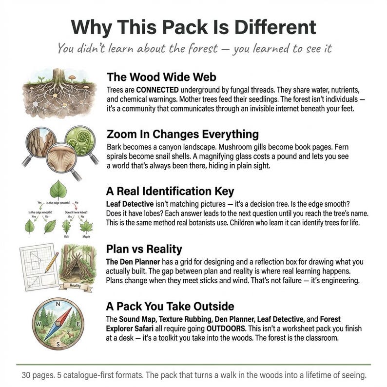 May include: An educational infographic with text and illustrations about the forest. The graphic includes sections on the Wood Wide Web, Zoom In Changes Everything, A Real Identification Key, Plan vs Reality, and A Pack You Take Outside.