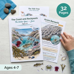 May include: A 32-page educational activity book titled The Coast and Rockpools, The Water Year - June, for ages 4-7. The cover features a watercolor illustration of a coastal rockpool with a seagull, fish, crab, and seaweed.