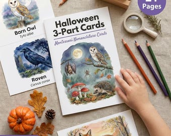 Halloween 3-Part Cards | Montessori Nomenclature | Ages 3-6 | Bat Owl Spider Pumpkin | Nature Nocturnal Animals | Printable PDF