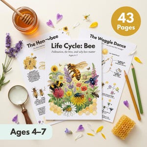 May include: Educational resources for children, including a "Life Cycle: Bee" book with bee and flower illustrations. A magnifying glass, honey, and pencils are also present. The book is 43 pages and suitable for ages 4-7.