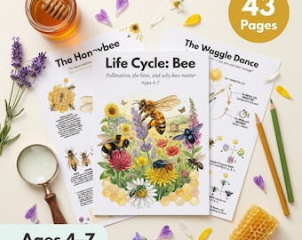 Bee Life Cycle Worksheets | Pollination, Hive Science, Crafts (Ages 4-7) (PDF)