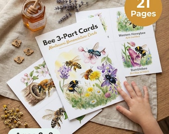 Bee 3-Part Cards Printable | Montessori Nomenclature | Honeybee Bumblebee | Watercolour Nature Study | Insect Science Ages 3-6 PDF