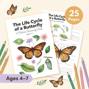 Butterfly Life Cycle Worksheets | Caterpillar to Butterfly | Ages 4-7 | Metamorphosis Science | Insect Activities | Flashcards