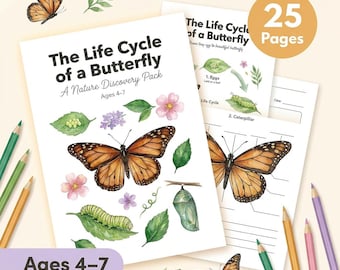 Butterfly Life Cycle Worksheets | Caterpillar to Butterfly | Ages 4-7 | Metamorphosis Science | Insect Activities | Flashcards