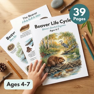 May include: A 39-page educational booklet titled Beaver Life Cycle: Nature's Greatest Engineer for ages 4-7. The cover features a watercolor illustration of a beaver near a lodge, a heron, and water lilies. Additional pages show beaver anatomy.