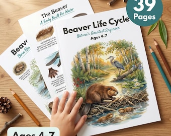 Beaver Life Cycle Worksheets | Dam Building | Kids Science Ages 4-7 | Nature's Engineer | Keystone Species | Flashcards | Printable PDF